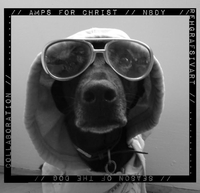 Amps For Christ / NBDY / rehgrafsivart  ‎– Season Of The Dog