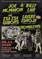 Obrázek
