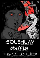 Obrázek