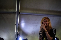 Deer In the Headligths