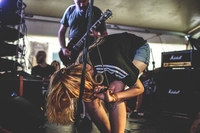 Deer In the Headligths