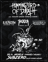 HUMMINGBIRD OF DEATH (USA) , TRIGGER (GER/CZ), LILIXELBE, TERMINATOR X 