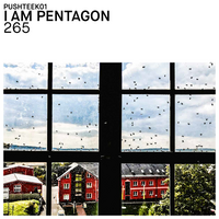 I Am Pentagon – 265