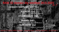 Koncert
