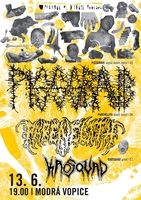 Koncert
