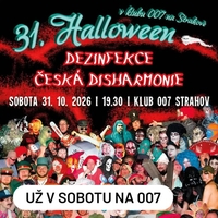 Koncert