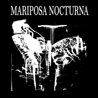 Mariposa Nocturna