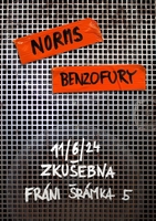 Obrázek