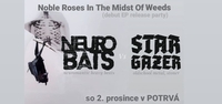 Neuro Bats // Stargazer