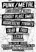 PUNK / METAL KONCERT aneb Ceckovi je 46 let !