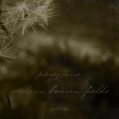 Seeds in the Barren Fields / Peregrine split 7