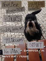 sinks, buchty/nouze, SØWT, No Vida, Tilikum