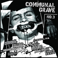 v/a COMMUNAL GRAVE no. 3 (100 stran A4 zine + 12